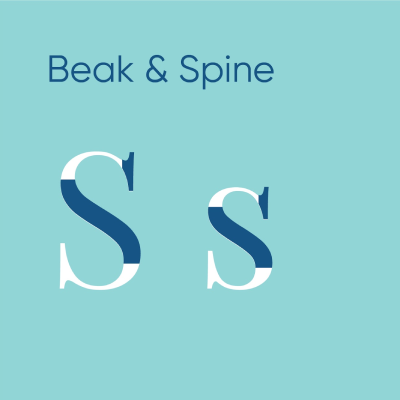 A professional typography diagram illustrating the beak and spine anatomy of a typeface using the letter S
