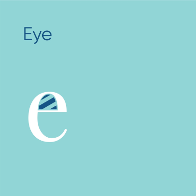 A professional typography diagram illustrating the eye anatomy of a typeface using the lowercase letter e