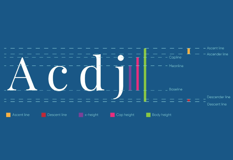 A comprehensive typography diagram illustrating anatomy of typeface including baseline, x-height, ascender, cap height, and descender lines