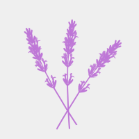 A professional lavender flower brush design featuring delicate layered petals for elegant botanical branding and creative projects