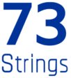 73-strings Bangalore Logo - Global Design Firm | Halo Design Academy Student Placed