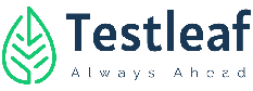 Testleaf Chennai Logo - Global Design Firm | Halo Design Academy Student placed